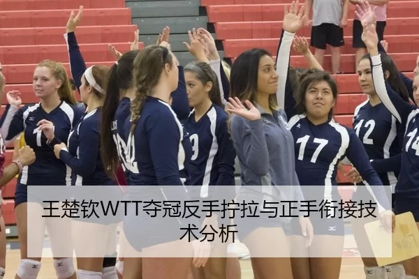 王楚钦WTT夺冠反手拧拉与正手衔接技术分析